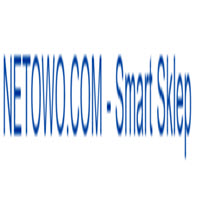 Netowo.com - Urządzenia smart home logo